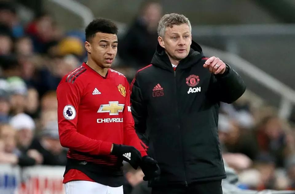 发挥作用的 发挥作用的